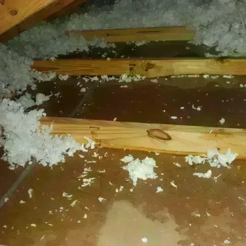 Attic Water Damage in Waterford, MI