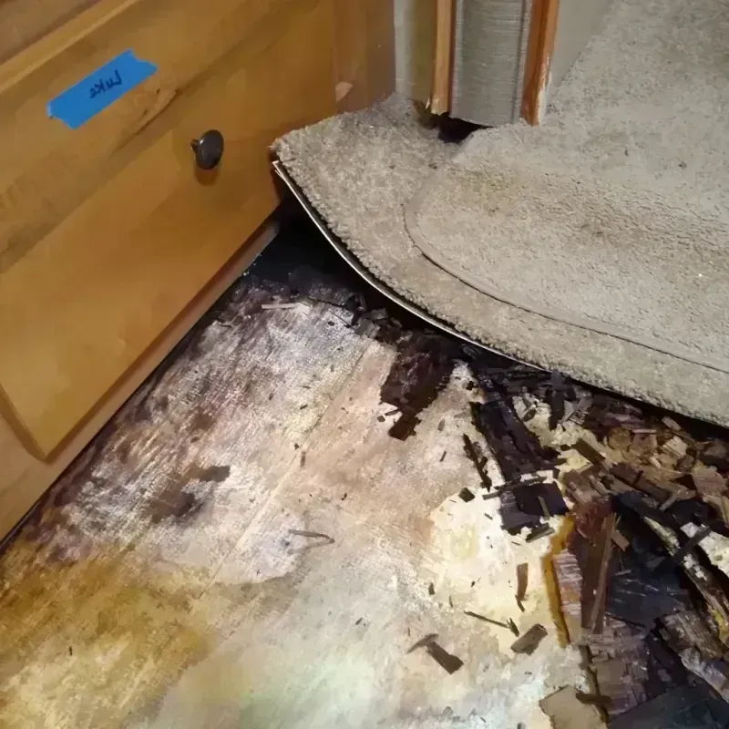 Best Wood Floor Water Damage Service in Waterford, MI